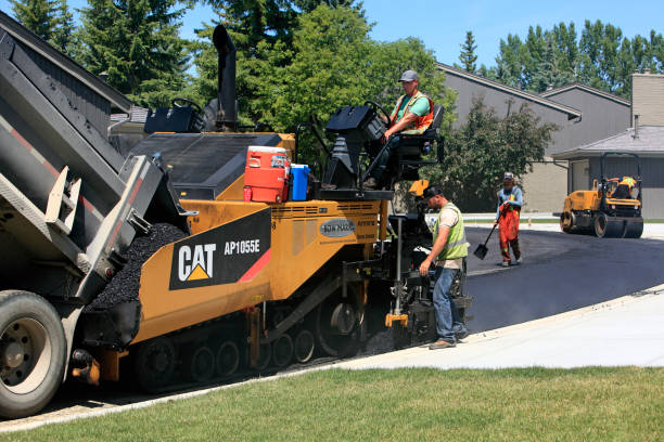 Best Professional Driveway Pavers  in Catalina Foothills, AZ